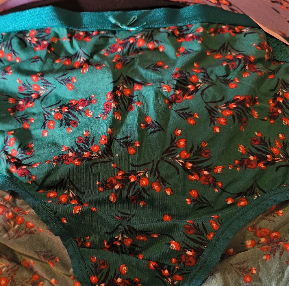 Cacique Teal and Red Floral Extra Soft Full Brief Pantie